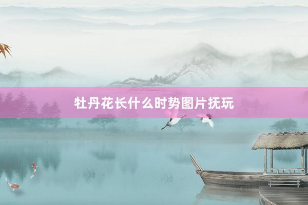牡丹花长什么时势图片抚玩