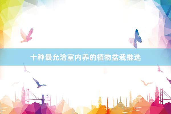 十种最允洽室内养的植物盆栽推选