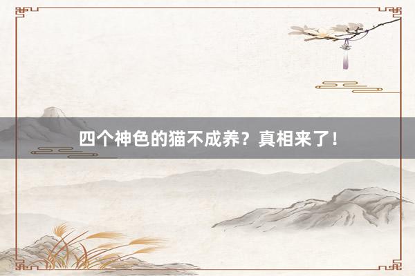 四个神色的猫不成养？真相来了！